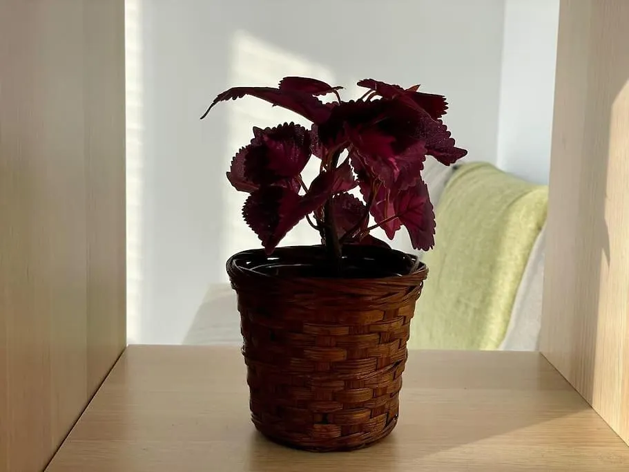 Appartement 73M2 - 2 Chambres - Parking - Wi-Fi Toulouse 0*,  Francie
