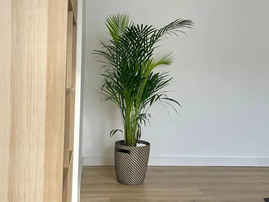 Appartement 73M2 - 2 Chambres - Parking - Wi-Fi Toulouse 0*,